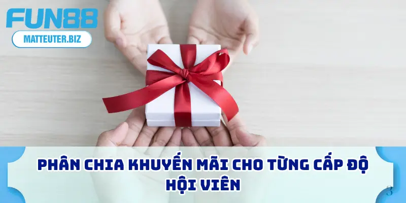 Phân chia khuyến mãi cho từng cấp độ hội viên